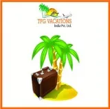 Get the Perfect Job You Need from Home