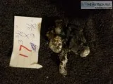 Found metal pieces