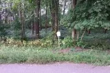 COMSTOCK PARK MICHIGAN WOODED WATERVIEW LOT ON GRAND RIVER