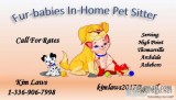 In home pet and house sitter