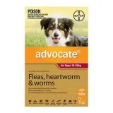 Advocate for Dogs For Large Dogs 10 to 25 Kg (Red)