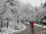 Explore himachal with dharamshala holiday package
