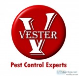 Pest Control Management Services in San Diego