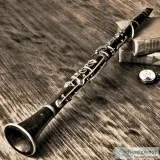 Clarinet Lessons For Adults  Eyal Bor Clarinet Lessons In Baltim