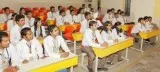 What do electrical engineers do