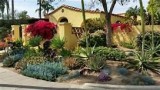 Gardening Design Services in San Diego