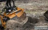 Stump Removal Service