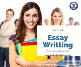 Essay Writing - Academic Assignment
