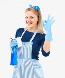 Living in Beacon and looking for professional cleaning services 