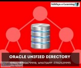 Oracle Unified Directory Online Training Course in Adithyaelearn
