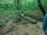 43 Acre Property with Buildings Structures Trails and 2 Creeks