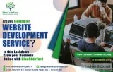 FLAT 10 PERCENT OFF ON WEBSITE DEVELOPMENT COMPANY IN NOIDA BLUE