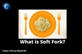 What Is the Meaning of Soft Fork