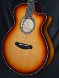 Buy and Sell Acoustic Guitars - Breedlove Legacy Auditorium Blac