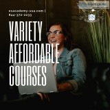 E and S Academy  Variety Affordable Courses