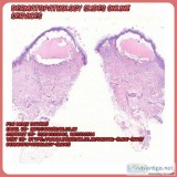 Dermatopathology slides