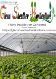 Plant Installation Canberra
