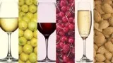 Generate residual income drinking fine wine