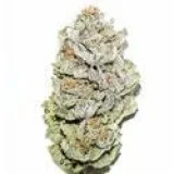 Banana Kush Seeds