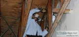 TERMITE CONTROL SERVICES IN GURGAON