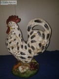 Rooster Hen Gallo - 31