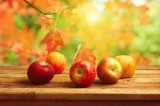 Simple and delicious crockpot applesauce