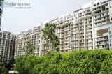 3 BHK and 4 BHK Apartment for Sale in M3M Golf Estate Gurugram
