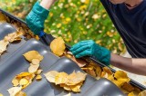 Commercial Gutter Cleaning Services