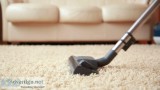Carpet Cleaning Adelaide