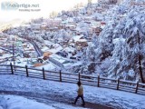 ENJOY SHIMLA HILLS WITH LESS PRICE TOUR PACKAGE