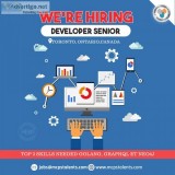 Hiring a Developer Senior in Toronto