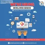 Hiring a Developer Senior in Toronto