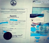 U.S. and FOREIGN PASSPORT APOSTILLE SERVICES (Express Rush and S