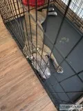 Looking for an home for diamond
