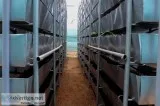 Soil Based vertical Farming