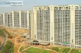 4 BHK for Rent in DLF The Magnolias Gurugram