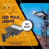 HAVE YOU HAD ENOUGH OF THE FLY-ATTRACTING COBRAHEAD LIGHTING FIX