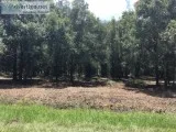 Gorgeous 1.25 acres