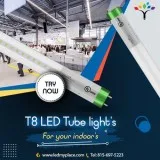 DO YOU GET FRUSTRATED WITH FLIES AROUND FLUORESCENT TUBE LIGHTS