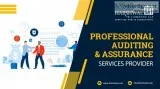Professional Auditing and Assurance Services Provider in the USA
