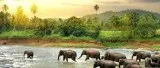 Sri Lankan Tales