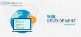 Website Development Service