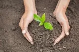 Garden Maintenance Services In Aberdeen By SG Tree Services