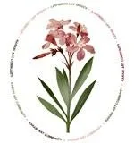 Best Artwork Services in Delhi and Noida