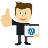 Top Hire Wordpress App Developer Company