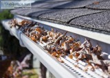 Gutter Cleaning Services