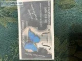 Violinist for your wedding  funeral