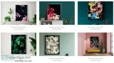 Buy Preserved Series Print