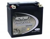 AGM Deep Cycle Battery Archives - BatteryGuru  One of the Larges
