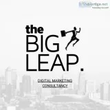 Hire  the Best Digital Marketing Services For HealthCare at The 